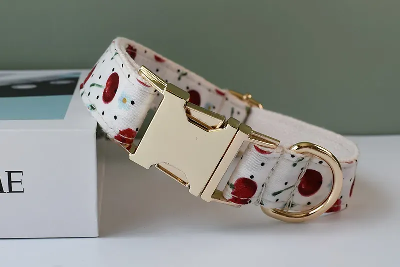 Personalized Dog Collar Leash Set: Free Engraving, Stylish Bow Tie ...
