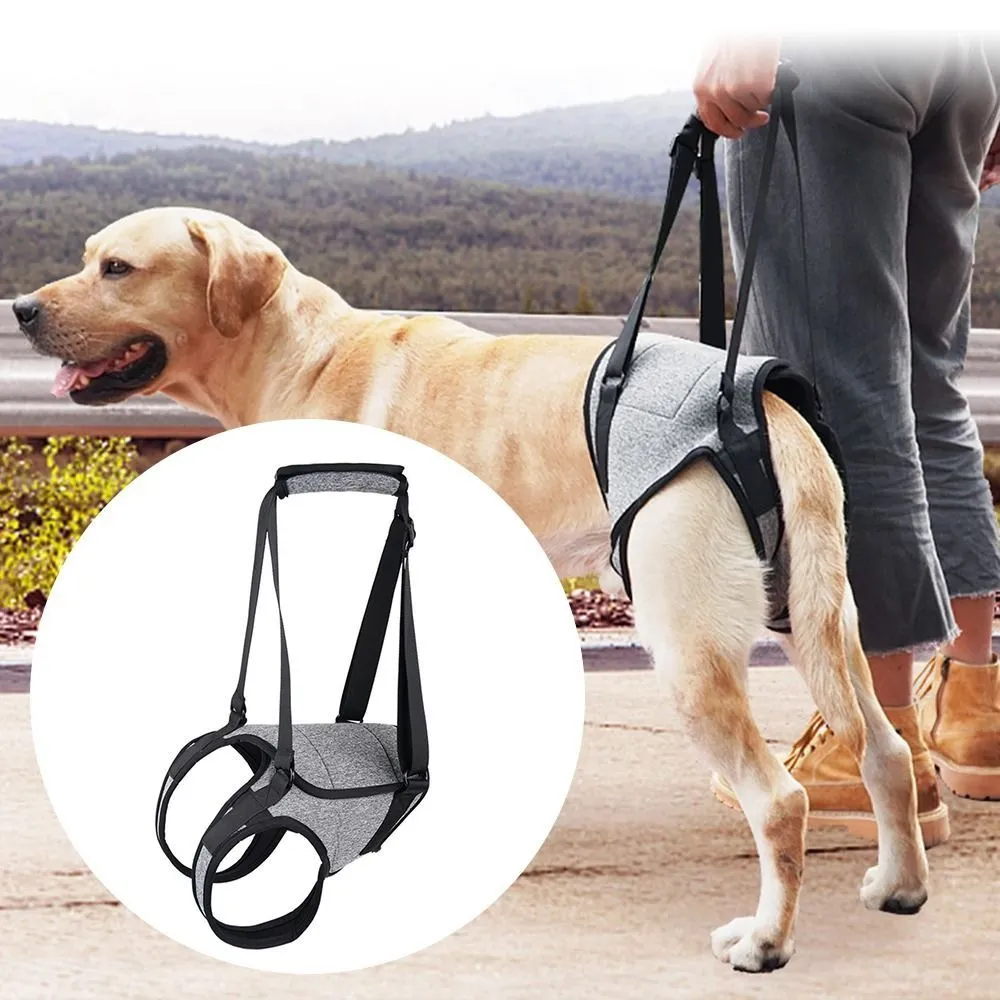 Gallery Detail: Dog Lift Harness For Large Dogs Soft Padded Adjustable Rear