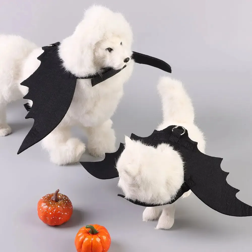 Disfraz De Murciélago: Alas De Bate De Halloween Divertidas Para Gatos De  Perros Con Cuerda De Tracción De 14,36 € | DHgate, image size:1000x1000