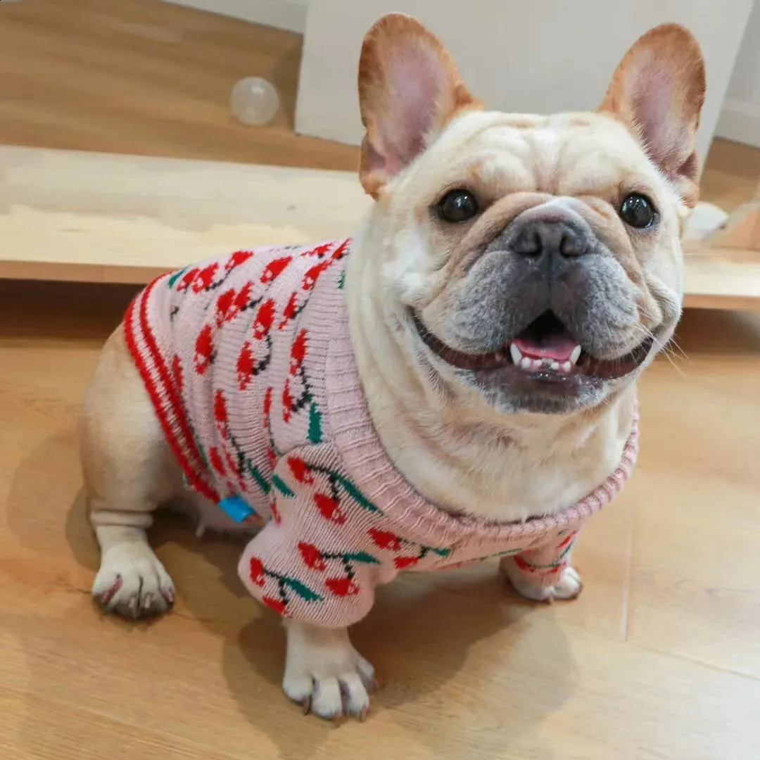 240929 French Bulldog Puppy Full Winter Sweater Set Pink Cherry Print Pet  Clothing For Christmas From Cong08, $9.68 | DHgate.Com