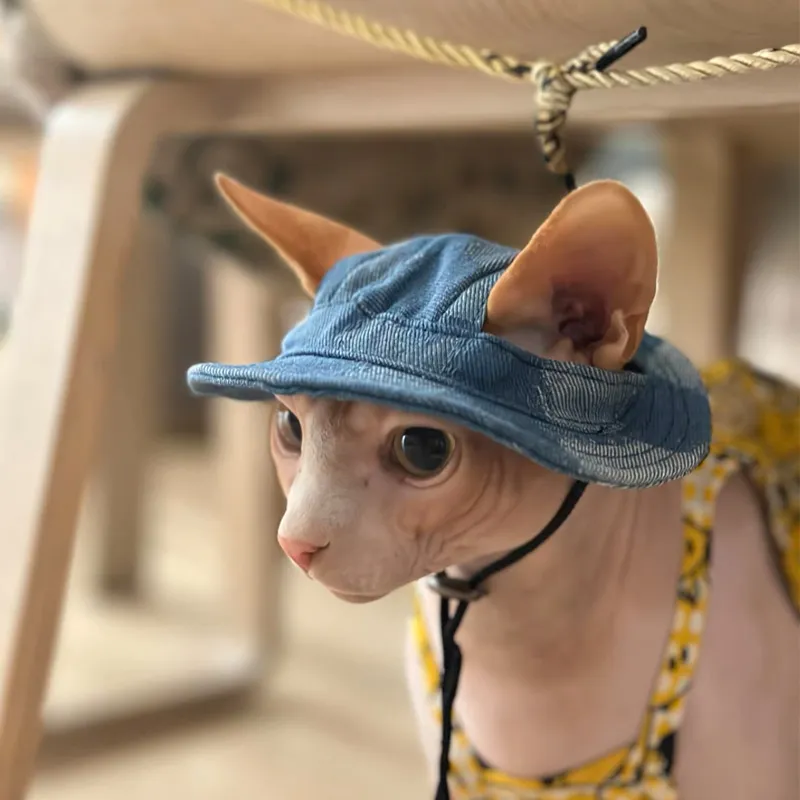 Tie Dye Cotton Cat Hat with Ear Holes Adjustable Sun Protection for  Sphynx, Devon Rex Hairless Cats