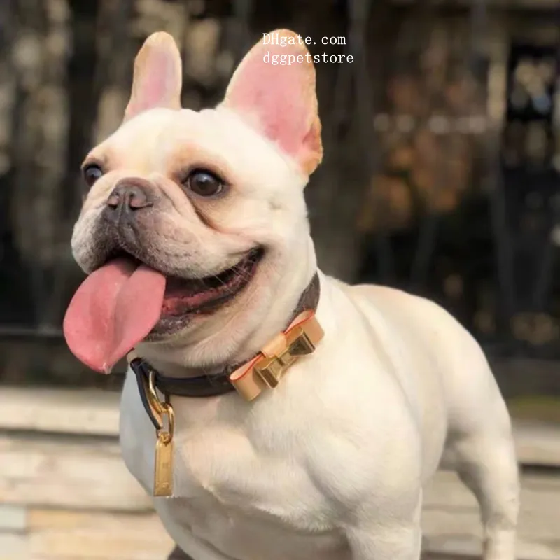 Luxury Dog Collars And Leashes Fashion Designer Dogs Collar With Bow Adjustable Puppy Belt Leash Pet Outdoor Running Training Necklace Rope Tie Brown XS B61 From 29 63 DHgate