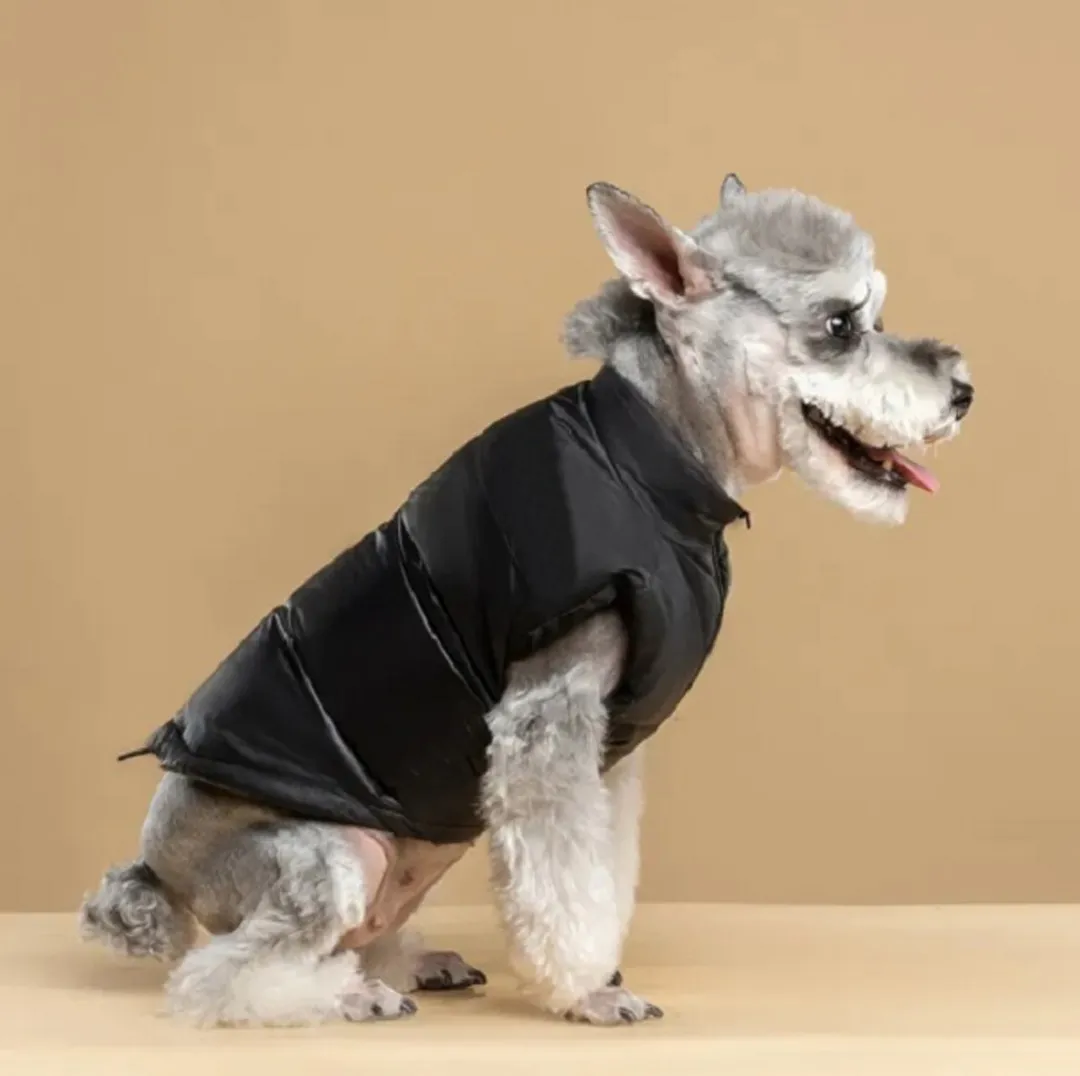 Yorkshire Terrier Dog Face Jackets Windproof Warm Dog Vest Black