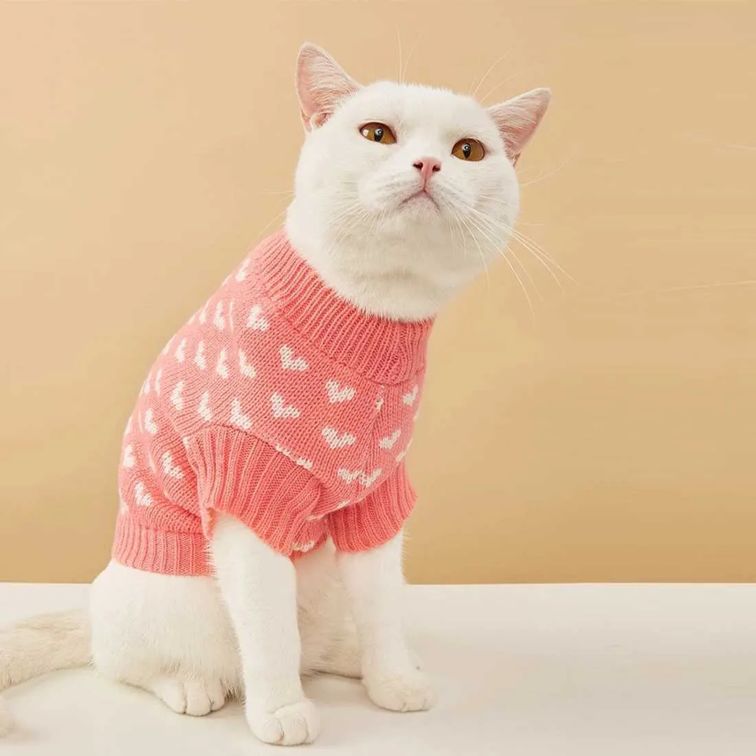Cat motif clothing outlet