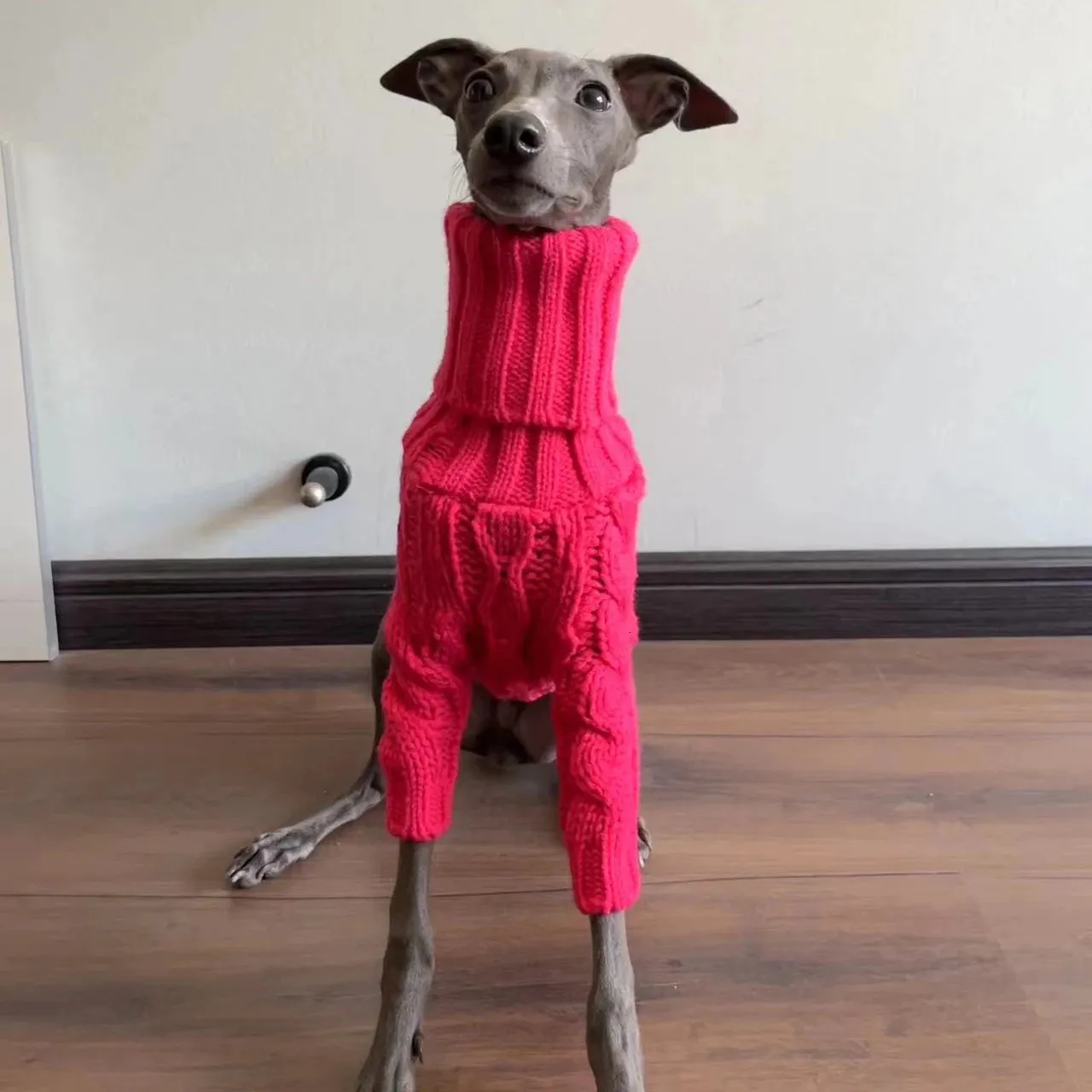 h and m dog sweater WarmShield Water-Resistant Jacket