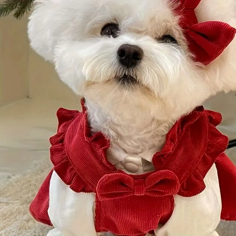 green emerald velvet dress Amazon.com : Fitwarm Maple Dog Dress, Ruffled Doggy Thanksgiving Dress, Fall  Dog Clothes for Small Dogs Girl, Pet Outfit, Red, Orange, Large : Pet  Supplies main image 1