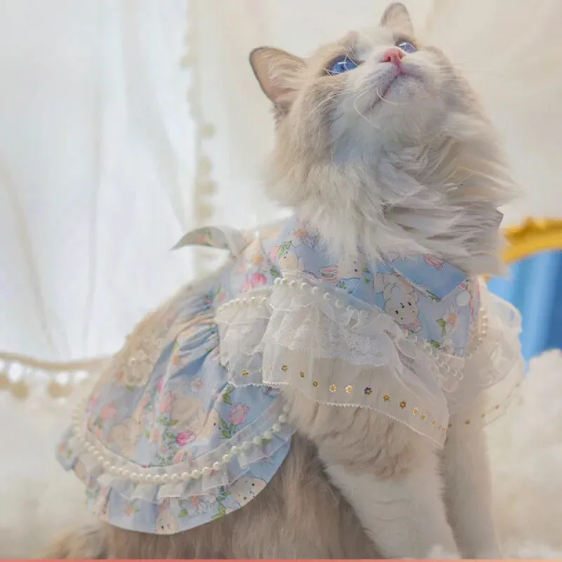 Cute Cat Princess Dress with Hair Loss Prevention for Spring Summer