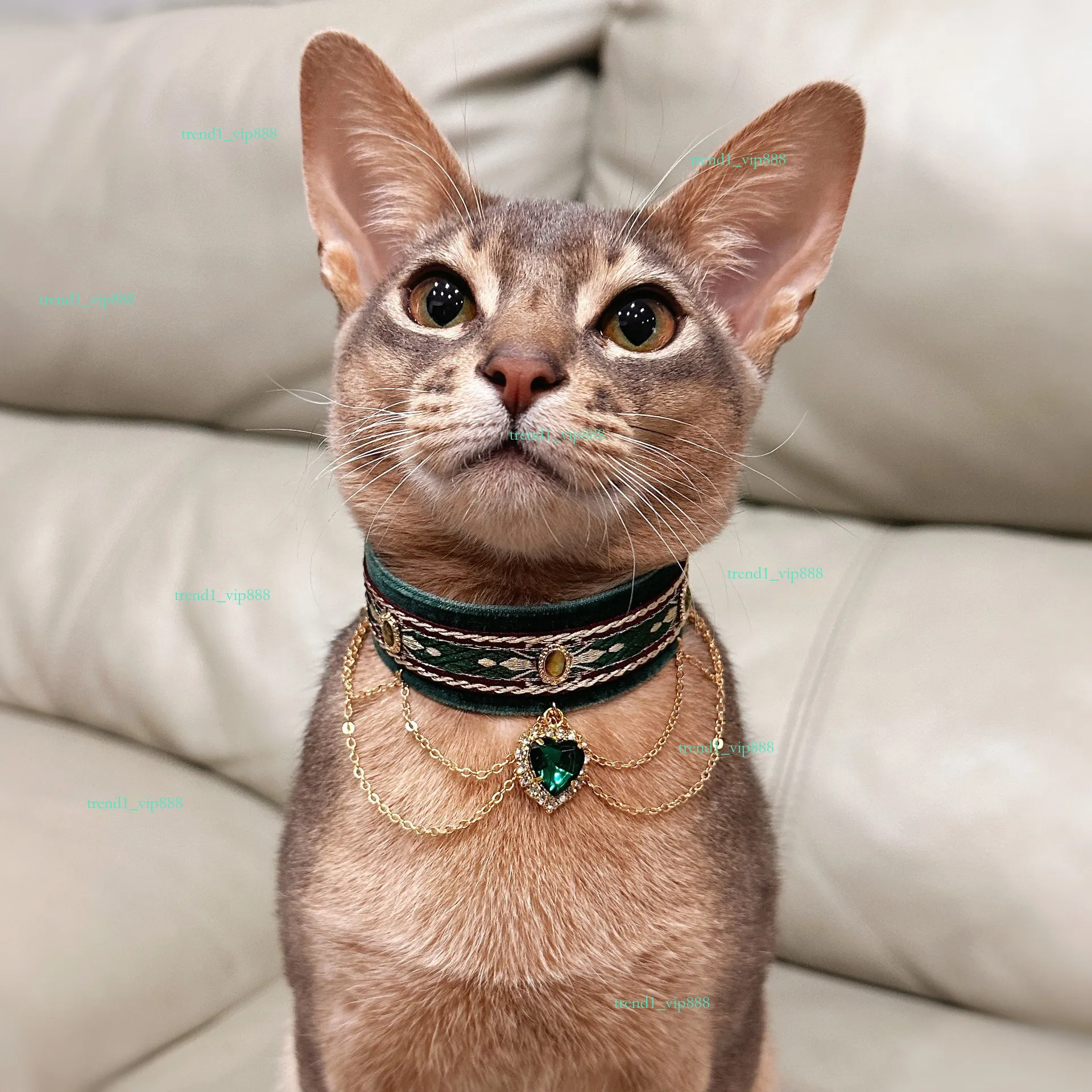 cat collars designer dog lead and collar