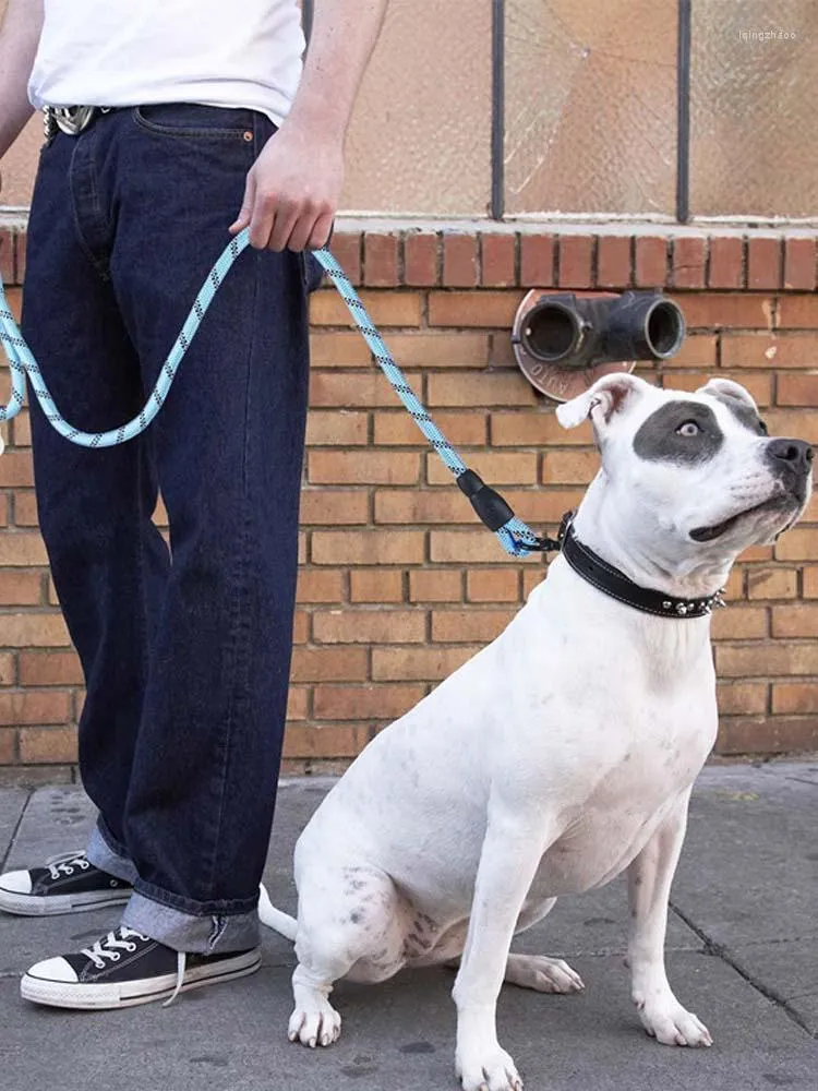 Hundhalsar husdjur leveranser eva handtag dragkraft reflekterande tråd förlängt 1,5 meter handskydd