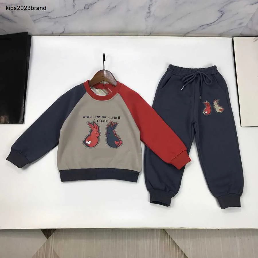 Trainingsanzüge für Babys, Herbst-Sets, Kinderanzug, Größe 90–170 cm, 2 Stück, Buchstaben-Kaninchen-Muster, bedrucktes Panel-Design, Rundhalspullover und Hosen, 30. August