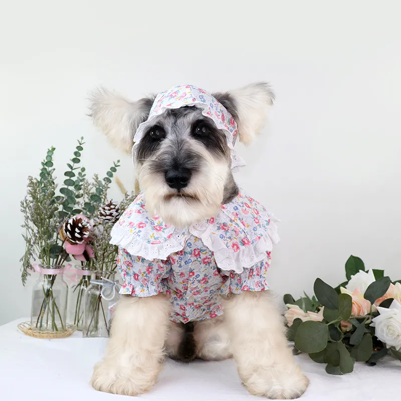 ثوب دانتيل كلب أليف دانتير Schnauzer Teddy Poodle Puppy Summer Flower Flower Trafel Skirt Clote Puppy Comple