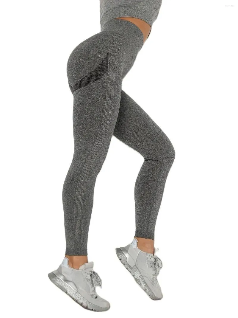 JSC Women Gym Wear Butt Lifting Leggings High Waisted Workout