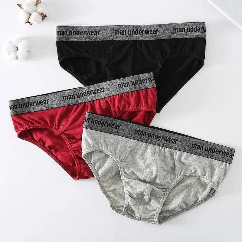 Underpants Breathable Cotton Men's Underwear Casual Letter Mans Briefs Triangle Shorts Male Comfort Solid Color Plus Size S-XL