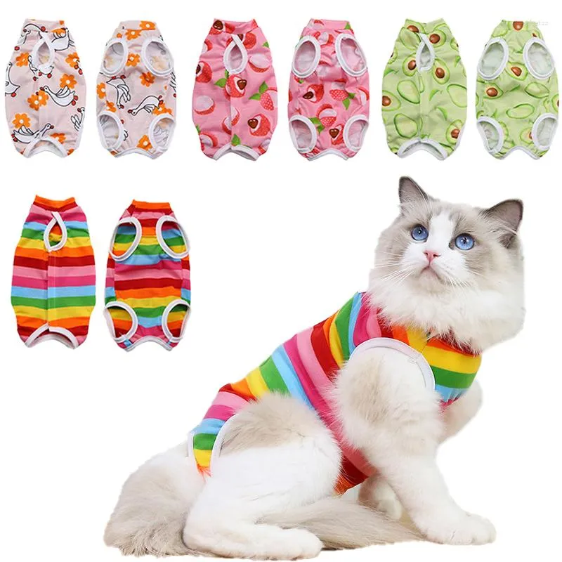 Costumi per gatti Cani di piccola taglia Gatti Gilet Tuta Abbigliamento per il recupero anti-leccamento Dopo vestiti carini per la cura degli animali domestici