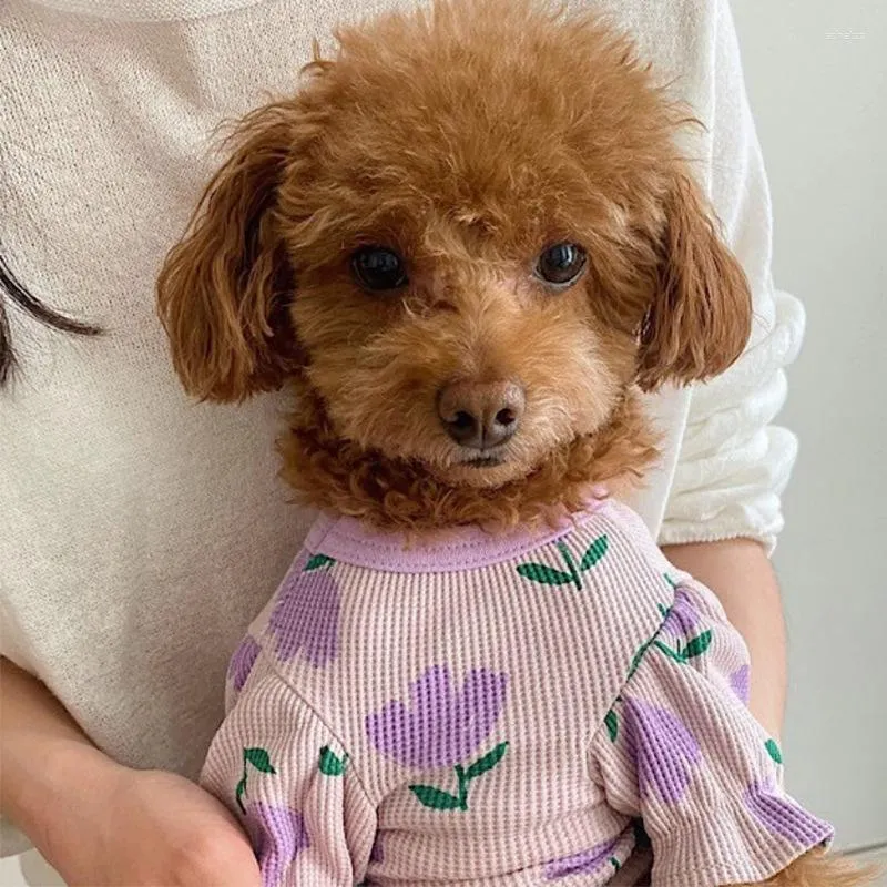 Abbigliamento per cani vestiali floreali abiti floreali maglietta per gatto estate camicia cucciolo di cucciolo carino accessorio giallo viola rosa resistente