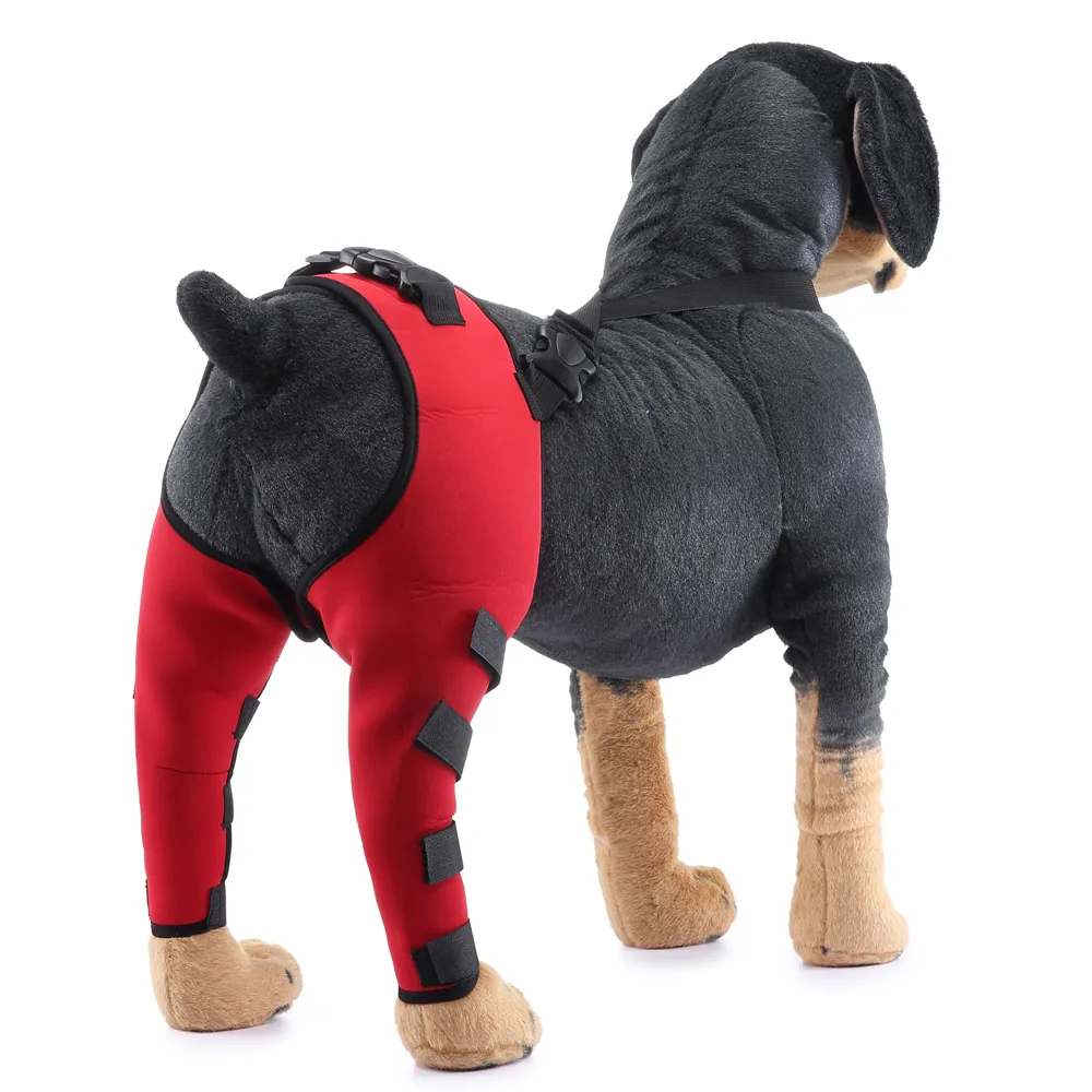 Abbigliamento per cani Ginocchiere per cuccioli di animali domestici Bretelle per gambe posteriori per cani feriti Supporto per tutore per lesioni articolari Recupera accessori di protezione 230901