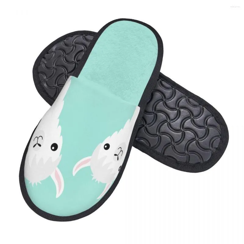 Llama store house shoes