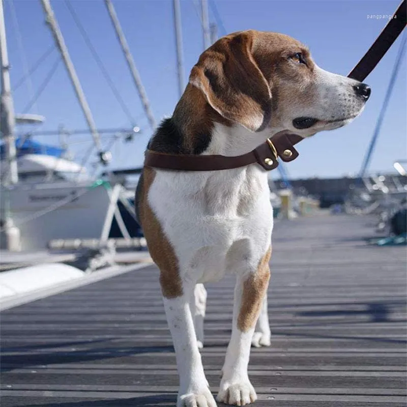 Colliers pour chiens, laisse coulissante roulée réglable, collier de marche, moyen et grand, Golden Retriever, berger allemand, chaîne en cuir de vache