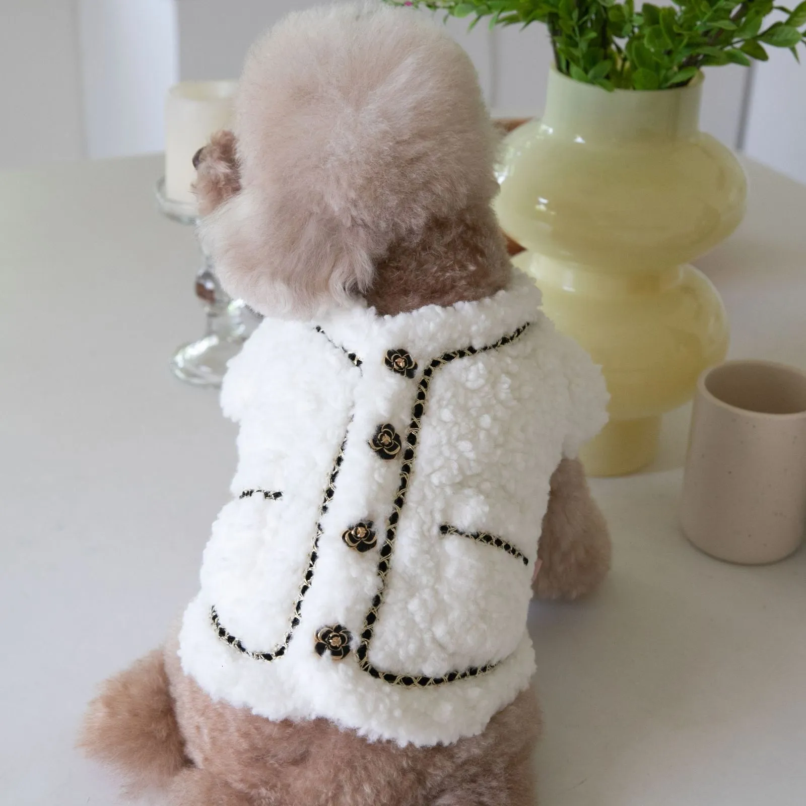 Hundekleidung Herbst und Winter Haustier warmes Mantel weiße Plüsch schöne Kleidung mit Rose Metall Schnalle Katze Kleidung Kurzjacke 230901