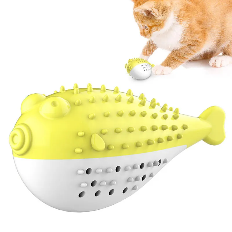 Husdjursprodukter Amazon Tiktok Fun Cat Toy Cat Tandborste