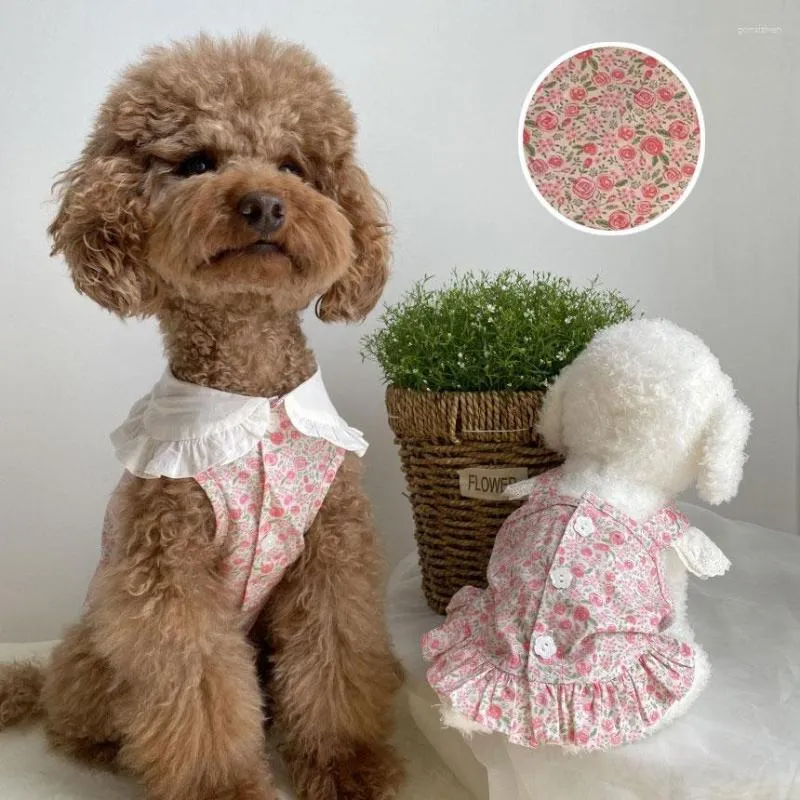 Vêtements pour chiens INS Vêtements mignons pour petits chiens Rose Rose Robes en dentelle Teedy Chihuahua Yorkie Printemps Doux Animaux Drop