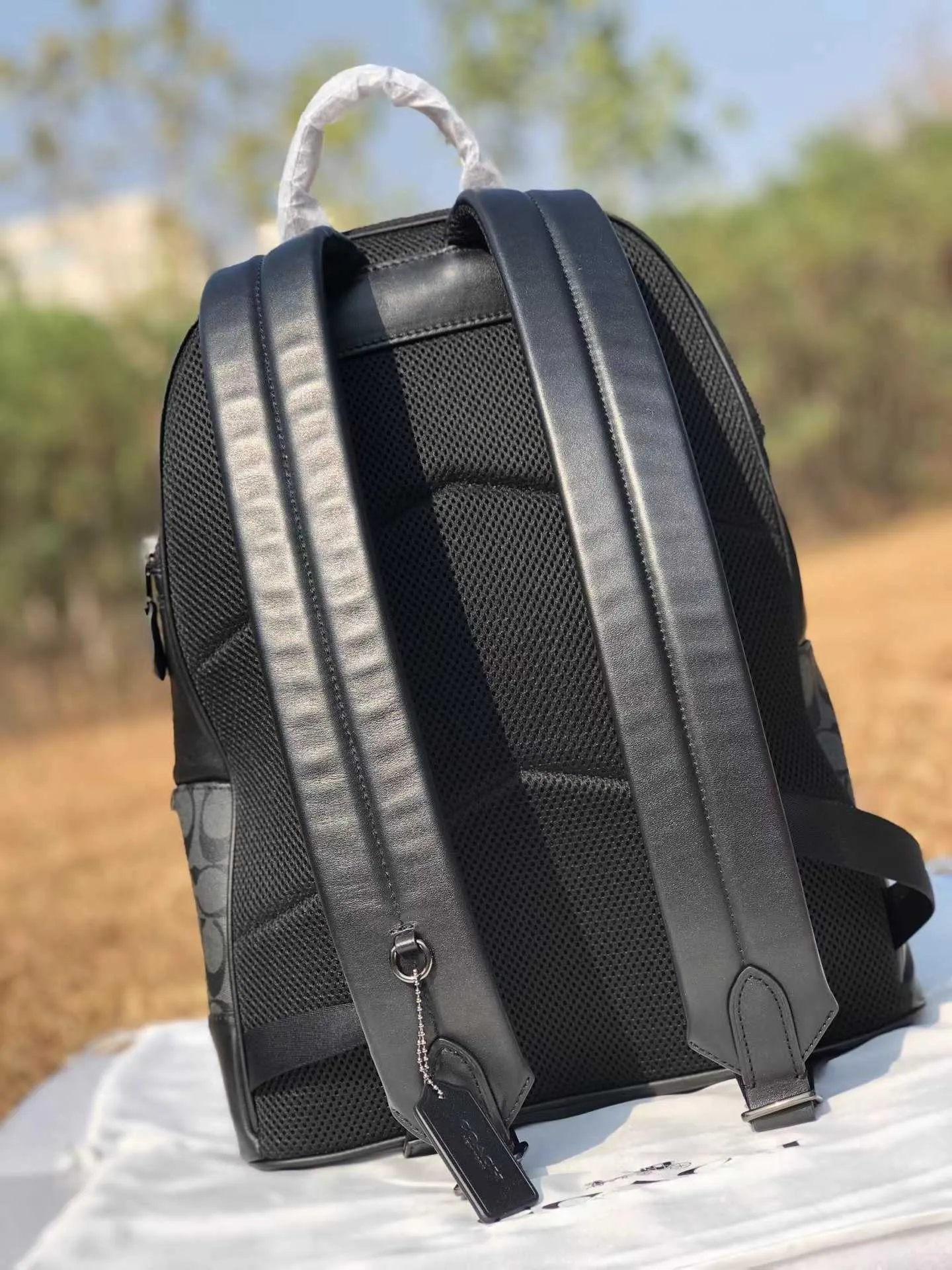 DHgate.com:Mens Casual Backpack, Classic Print Stripe, Large