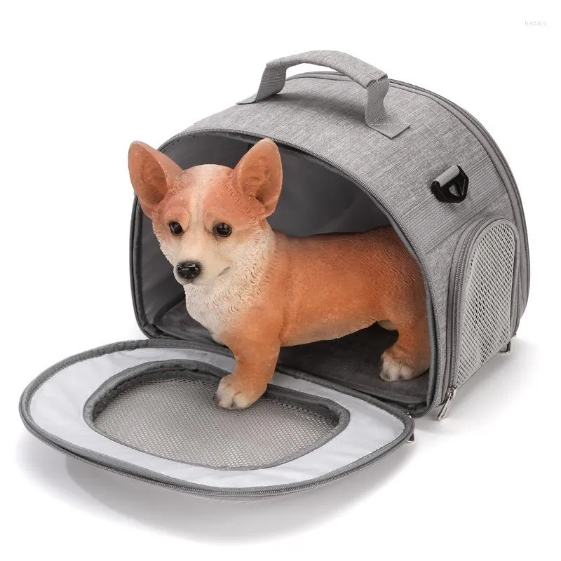 Bolsa transportadora online para chihuahua