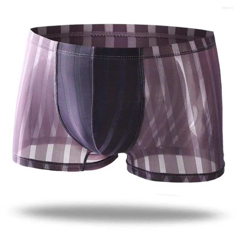 Calzoncillos Hombres sexy Calzoncillos boxer transparentes Bolsa de malla transparente Ropa interior a rayas Lencería Pantalones cortos para hombres delgados