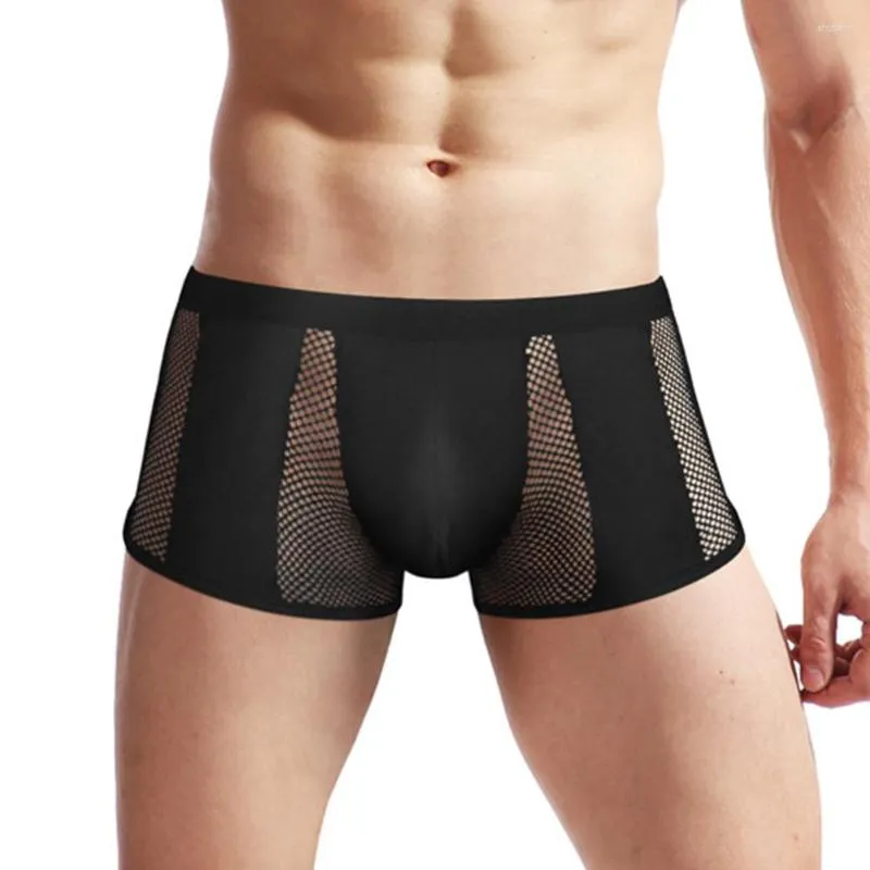 Unterhosen Sexy Gay Herren Niedrige Taille Slips Fischnetz Beutel Boxer Kurze Durchsichtige Atmungsaktive Männliche Shorts Und