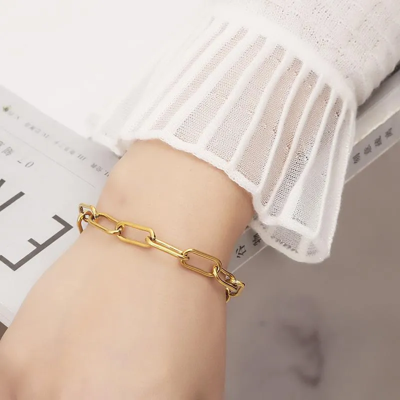Gold Plated Charm Bracelets: Simple Paper Clip Bamboo Chain Stainless Steel  Bracelet for Women Hip Hop Rock Style Jewelry