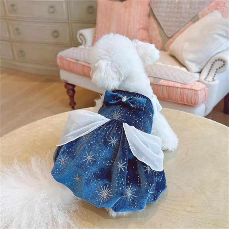 Vêtements pour chiens Pet Fairy Tale Princesse Jupe Automne Hiver Moyen Petit Designer Vêtements Chaton Chiot Mignon Poncho Yorkshire Maltese