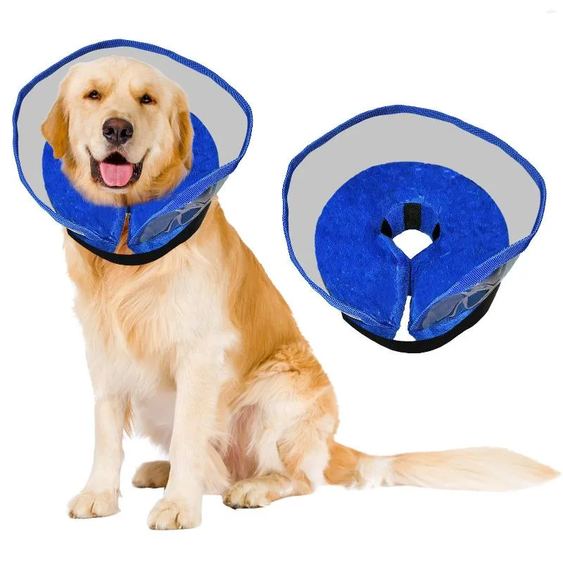 Stop bite sales dog collar