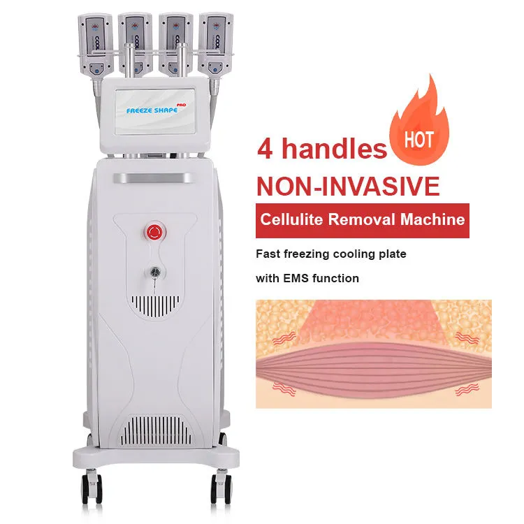 Fast Cooling Cryolipolysis 4/8 Cryo Paddles Freezing Slimming Fat Cellulite Removal Cryo Plates With Ems RF Technology