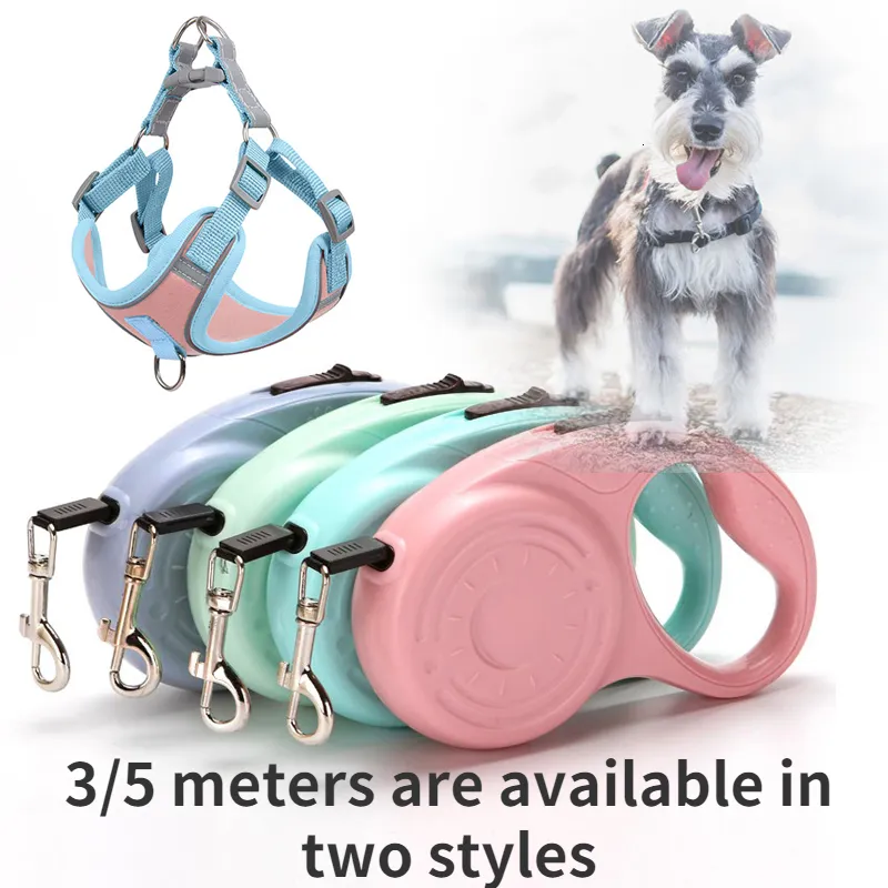 Collari per cani Guinzagli 35 metri Collare per cani retrattile in nylon per cani di taglia piccola, media e grande Guinzagli per gatti Accessori per cani al guinzaglio Guinzaglio per roulette Forniture per cani 230901