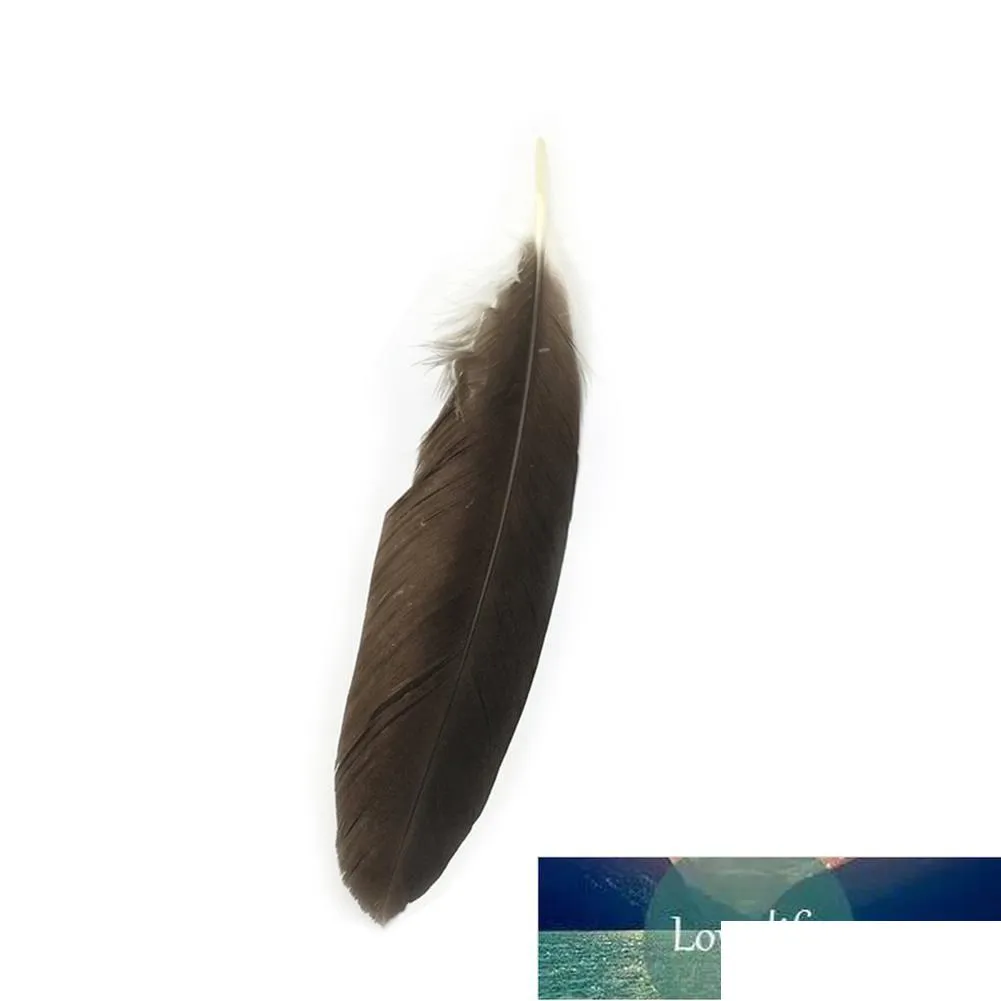 Hantverksverktyg Holesale 10 Rare Natural Eagle Feathers 40-45 cm/16-18 Dekoration Firande Performance Accessories Inches Jewelry Diy S Dhatm