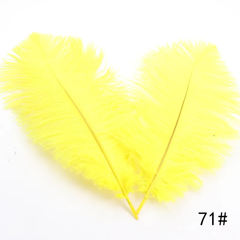 14-16 Ostrich Feathers: Yellow (6) [] 