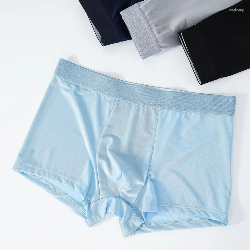 Boxers transparentes new arrivals