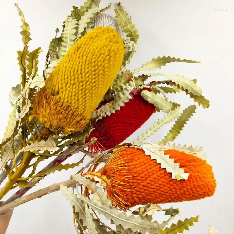 Kwiaty dekoracyjne czerwony żółty pomarańczowy Banksia suszona szlachetna dekoracja stylu europejskiego Wysokiej jakości bukiet na domowy wystrój ślubny