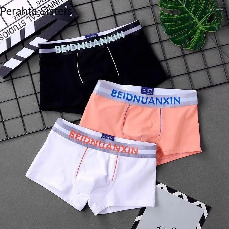 Mutande 3 Pz/lotto Mutandine da Uomo Alla Moda Boxer Moda Lettera Cintura in Cotone di Colore Solido Biancheria Intima da Uomo Boxer Taglia M-3XL