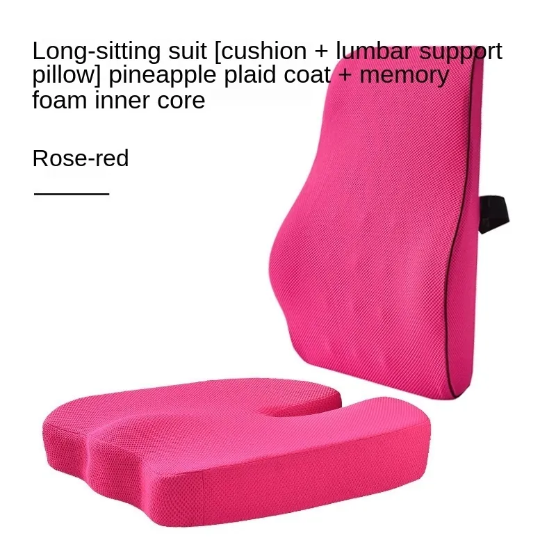 Espalda Baja Estilo Moderno Respaldo Lumbar Amazon SAIREIDER Cojín