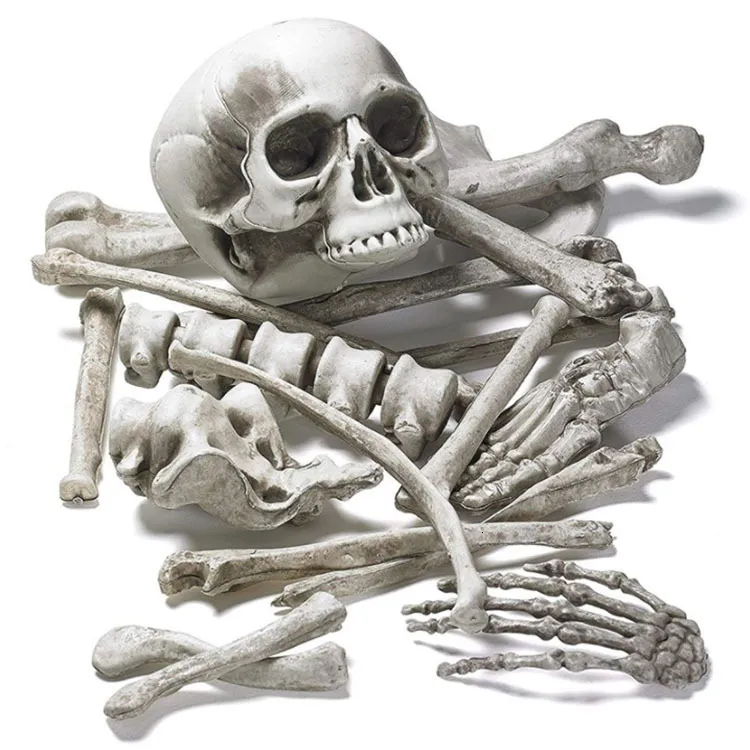 Andra evenemangsfestleveranser 19st Bones Set Scary Artificial Harts Human Skeletons Broken Bone Skull för Haunted Home Halloween Party Props Decoration 230905