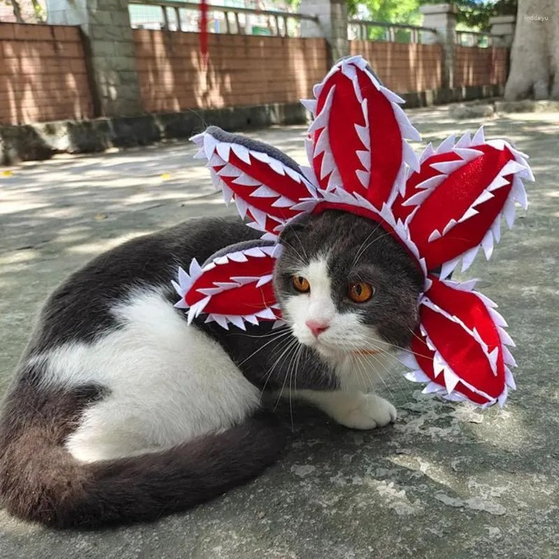 Hondenkleding Pet Hat voor honden Katten Zacht Comfortabel Hoofddeksel Grappig Halloween Schattig Demon Kostuumaccessoire