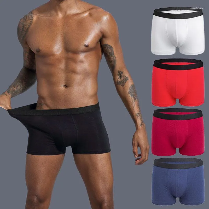 Underpants Men's Underwear Plus Fat Male Bigger Cotton Boxer Briefs Sports Shorts Antibacterial Fabric Comfortable Breathable