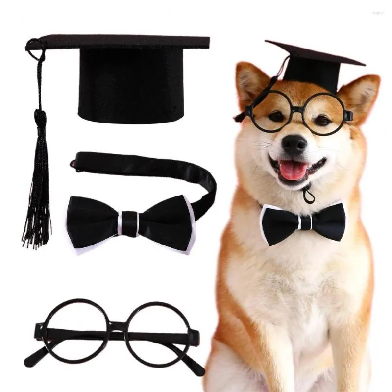 Dog Apparel 1 Set Graduation Hat Lovely Creative With Tassel Pet Accessories Suit