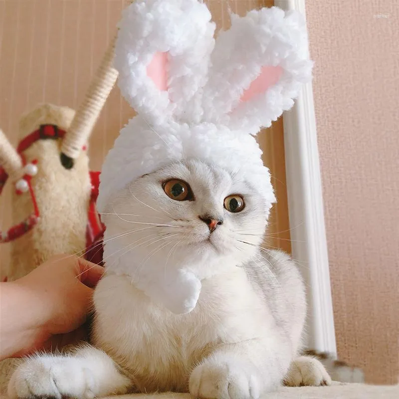 Abbigliamento per cani Cappello per gatti Copricapo Teddy Bomeifa Cucciolo Articoli per animali divertenti