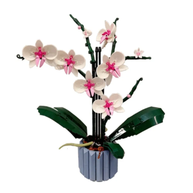 Modello di aereo Moc Bouquet Orchidea Blocco Fiore Piante grasse Blocchi di costruzione in vaso ADATTI per 10311 Kit romantico Assemblaggio Giocattolo Ragazza Regalo 230907