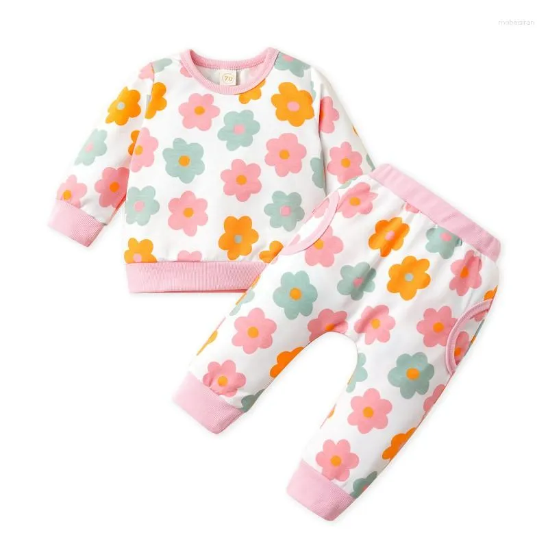 Conjuntos de roupas Baywell infantil bebê menina roupas conjunto outono criança flor impressão manga longa tops calças casuais 2pcs nascidos meninas ternos