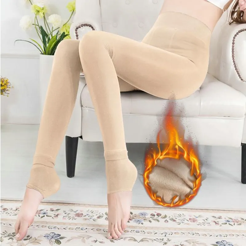 Intimates Tights, Pantyhose Sock, Leggings Pants