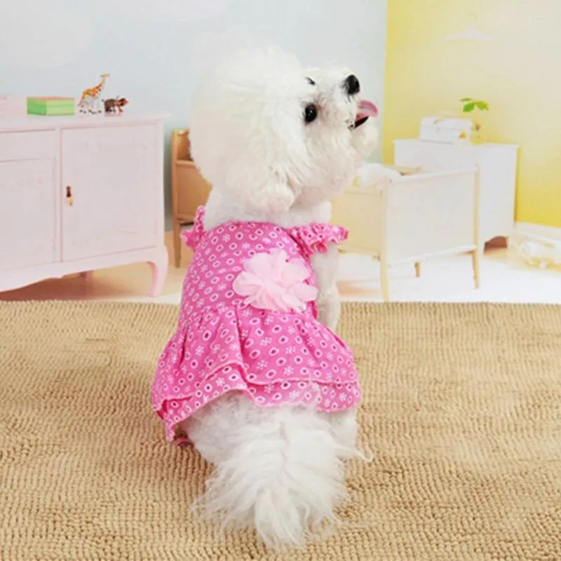 Hundebekleidung, Sommer, Frühling, Blumenmuster, Haustierkleidung, Bichon-Tartan-Rock, Katze, fusselfreies, dünnes Kleid, wunderschön in Rosa und Blau