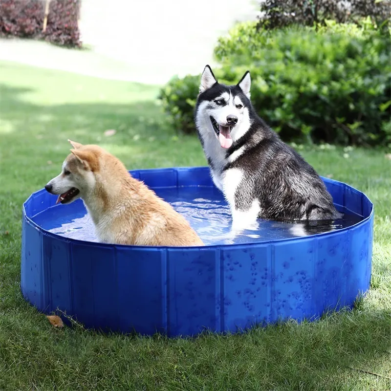 Kennels Kalemler Büyük Katlanabilir Evcil Hayvan Yüzme Kürek Havuzu Köpek Pişirilebilir Soğutma Yıkama Banyo Küveti Çocuklar veya Çocuklar İçin Köpek Kedi P 230906